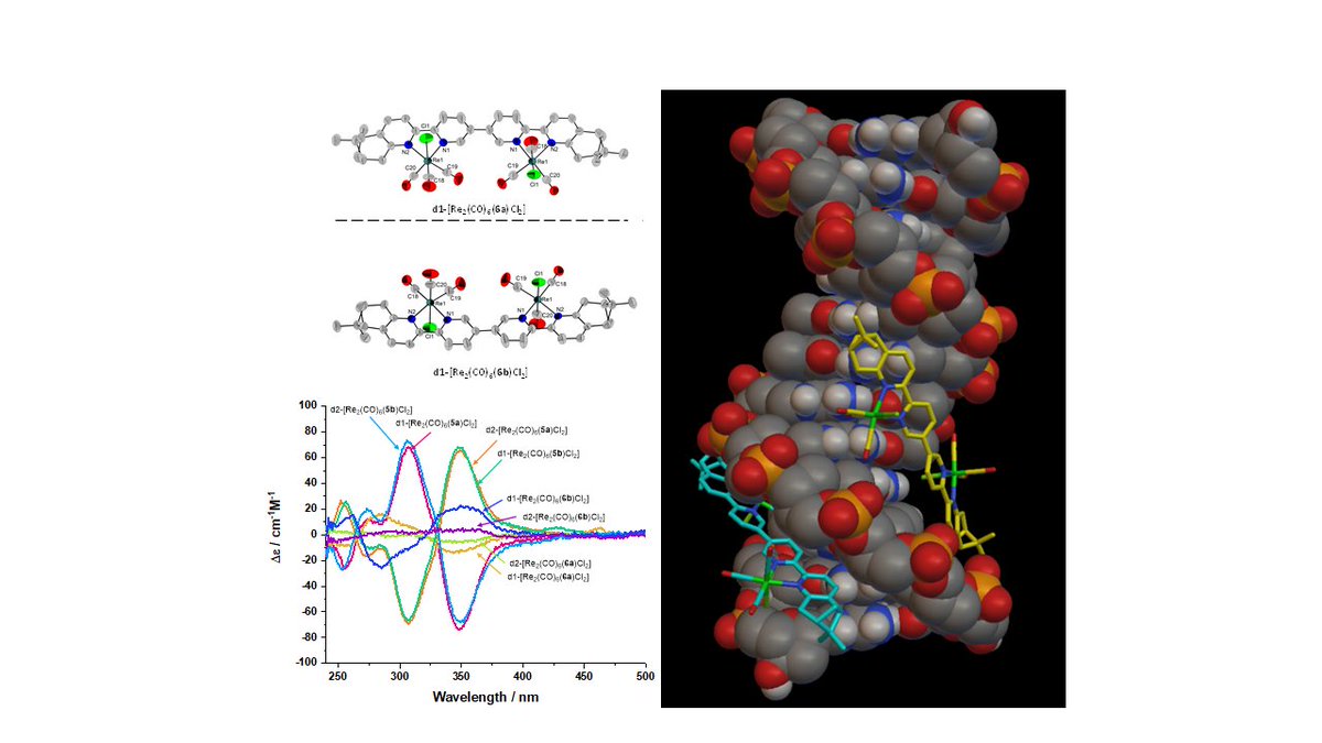 Lucky number 13 and my first * paper! The role of stereochemistry in the anticancer activity of Re(I) tricarbonyl complexes - now published in <a href="/DaltonTrans/">DaltonTransactions</a>. pubs.rsc.org/en/content/art…