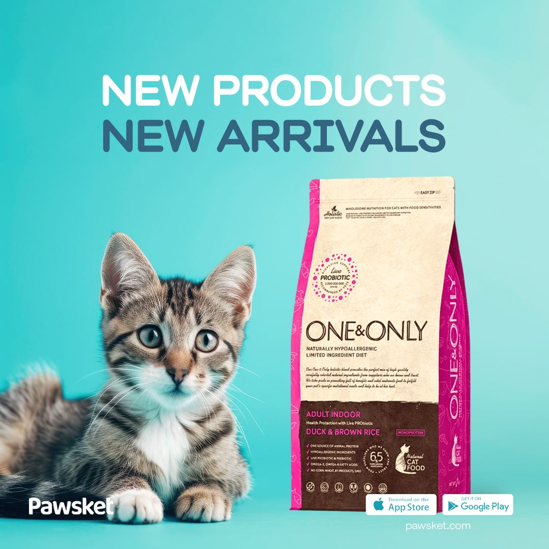 pawsket's tweet photo. New arrivals 😍
Check out the new arrival products for your little ones🐾 

Check them out and buy some more goods for them this summer 🌊☀️🐈‍⬛🐶 https://t.co/yLfBJlyr40