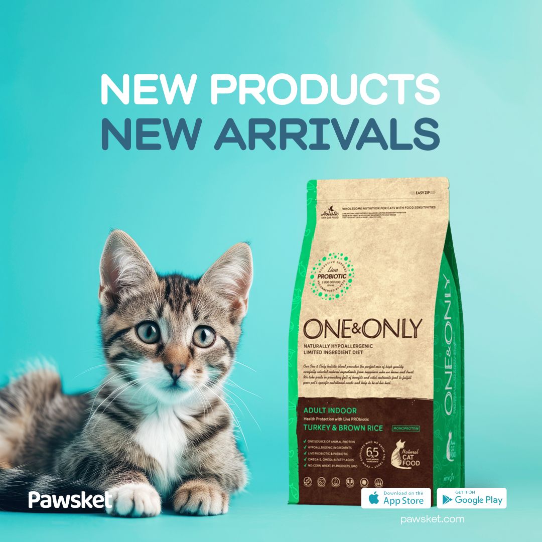pawsket's tweet photo. New arrivals 😍
Check out the new arrival products for your little ones🐾 

Check them out and buy some more goods for them this summer 🌊☀️🐈‍⬛🐶 https://t.co/yLfBJlyr40