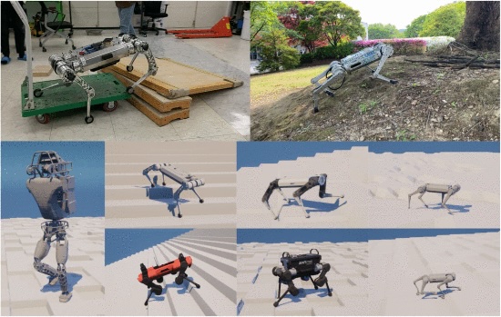 IEEE Transactions on Robotics (T-RO) tweet media