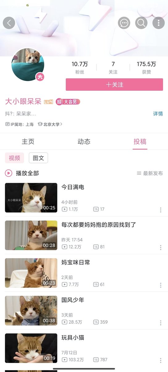 Ika_chietsu's tweet photo. @mazher50 @tyomateee2 この子は呆呆（＝アホ）っていう小猫です。最近中国でめっちゃ人気です。 https://t.co/mTfXnPsy4z