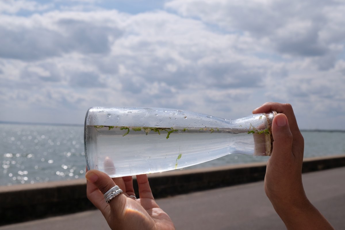 What can the Thames Estuary teach us? And how might this link to other bodies of water? Join us for a ‘Connecting Oceans’ discussion event on 22 July at Loughborough University London, Here East. Produced by <a href="/curatingthesea/">Curating the Sea</a> <a href="/syperek/">dr pandora</a> @artandwildlife estuaryfestival.com/event2025/deta…