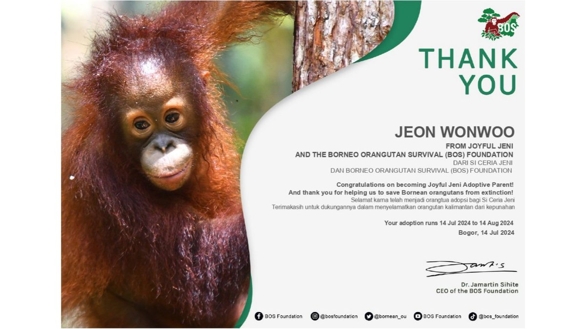 johnmaiier's tweet photo. 2. BIG GIRL BAIMAH 🌞 dan JOYFUL JENI 🌷!

Keduanya merupakan orang utan betina lho! Kalau mau tau background story mereka, bisa baca disini ya 🦧🔗https://t.co/QW3efxyH3J https://t.co/vgscVFnXcj
