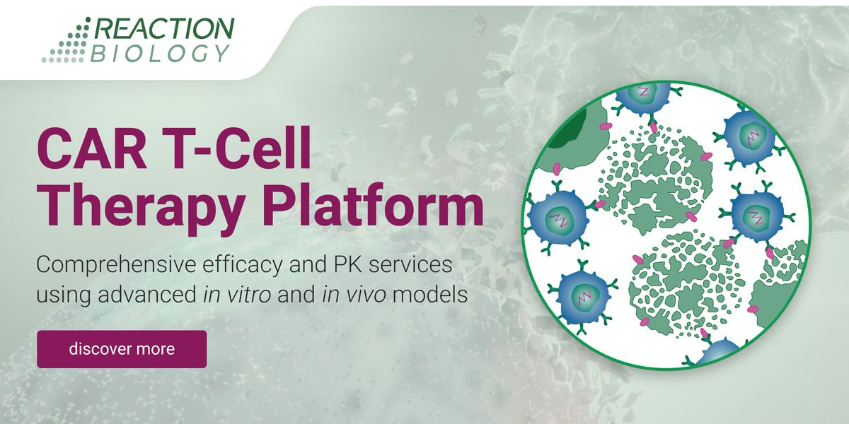 ReactionBiology's tweet photo. Curious about our cutting-edge CAR-T cell therapy platform? Download this Factsheet to discover how our in vitro and in vivo platform can contribute to you success in CAR-T cell therapy development.
https://t.co/YuYqe2nGTR
#CAR-T #CellTherapy #Innovation #CancerTreatment https://t.co/AKUJv5hqvt