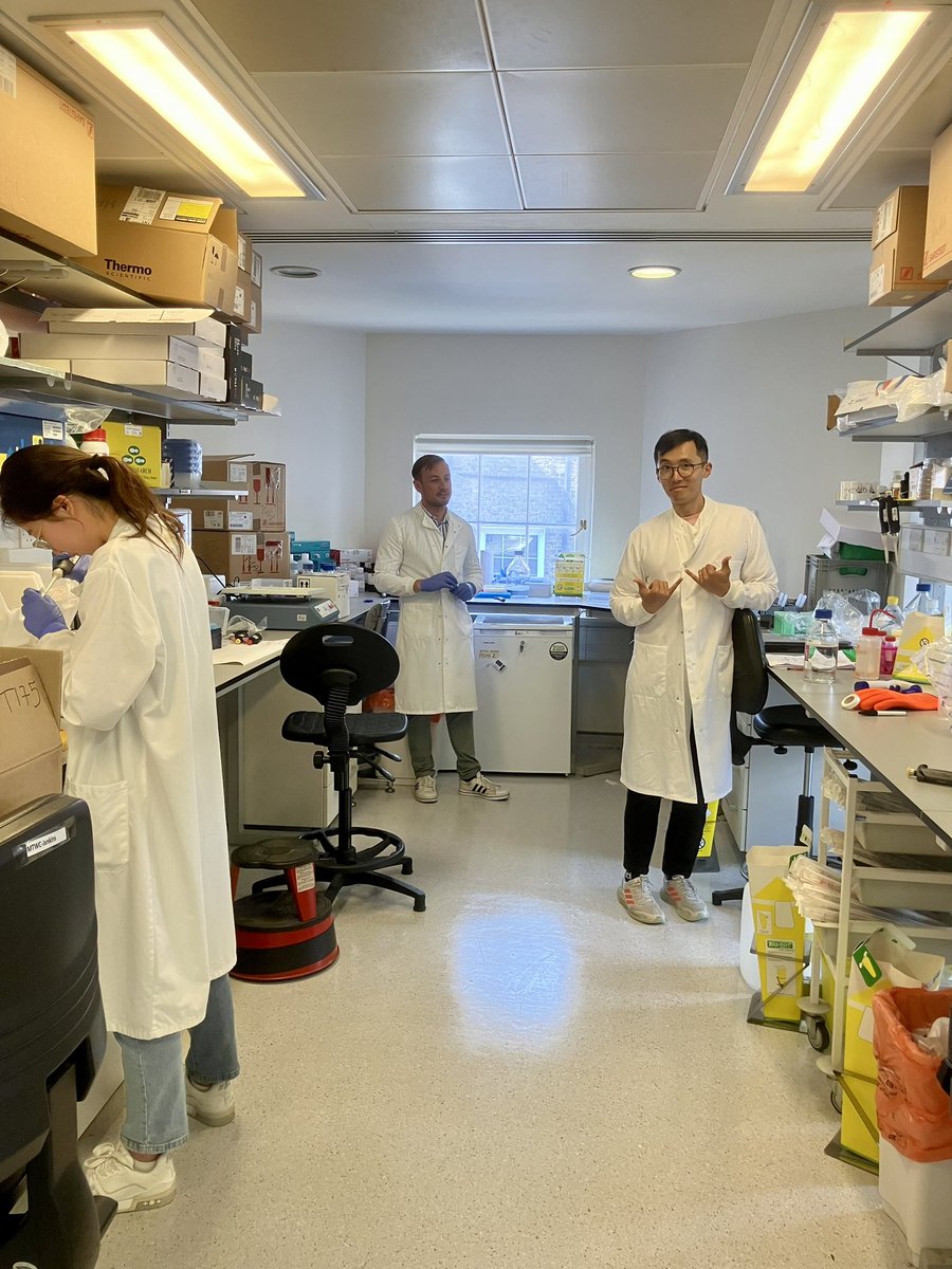 Alison John tweet media