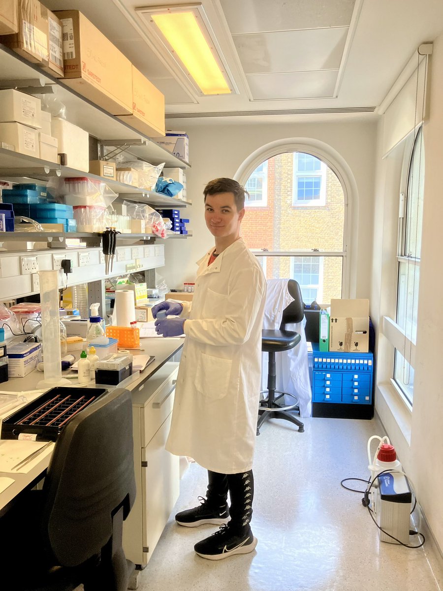 Alison John tweet media