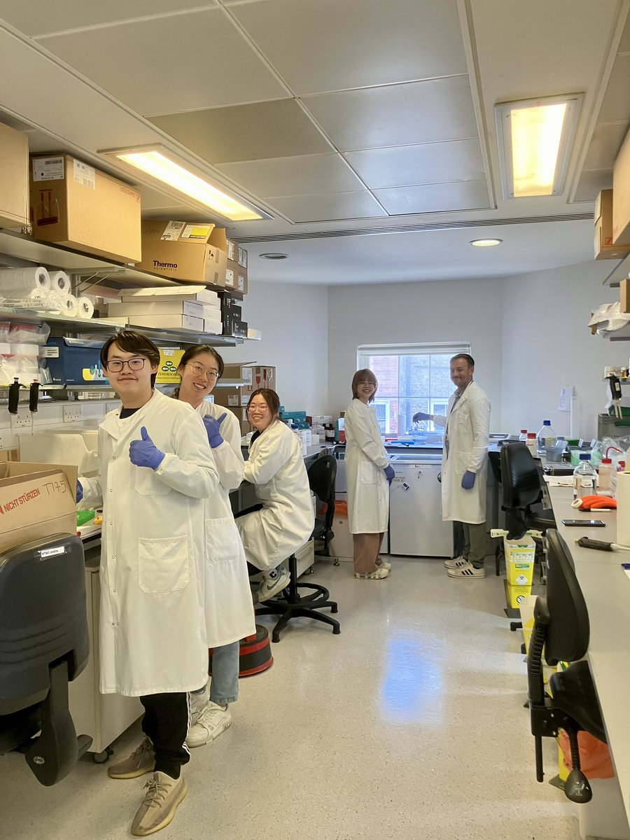 Alison John tweet media