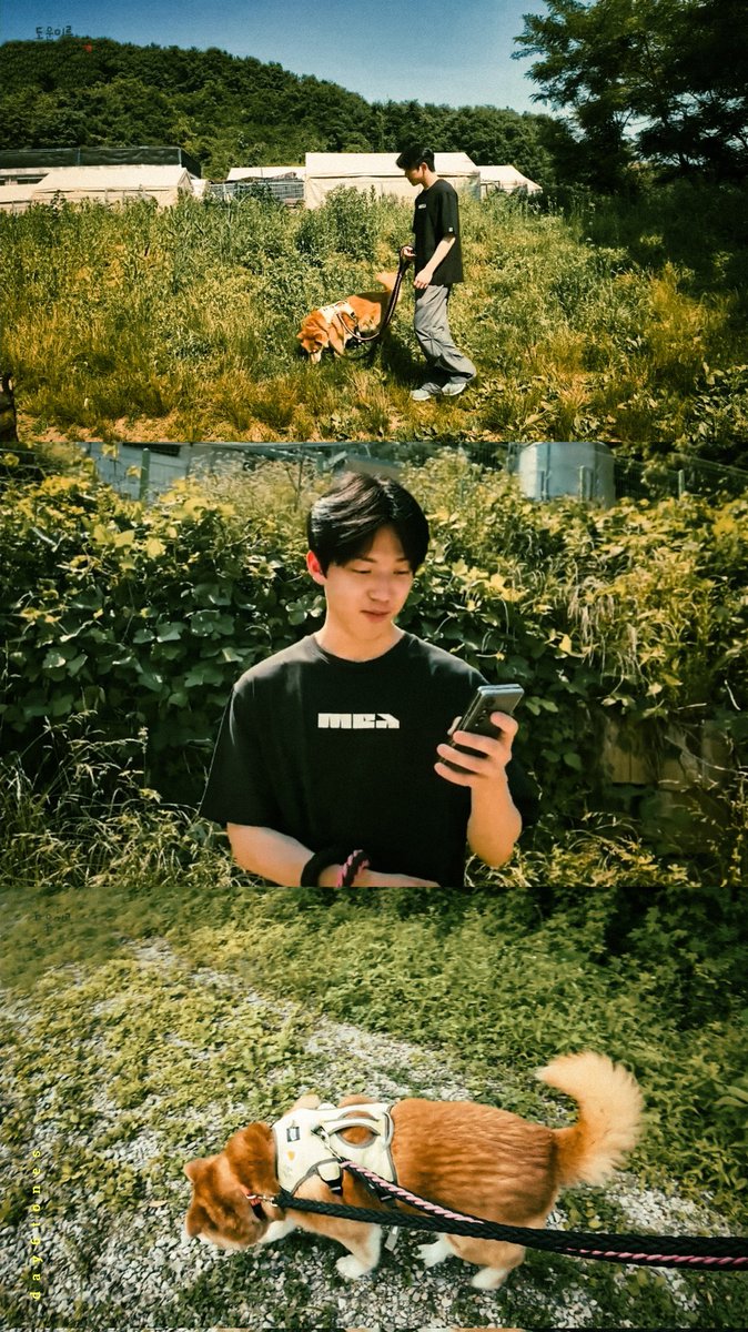 day6tones's tweet photo. Dowoon
#Day6 #Dowoon #데이식스 #도운 https://t.co/ARZN4LkGfO