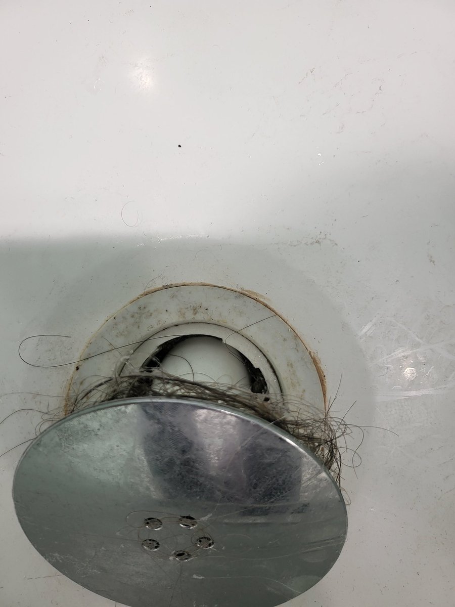 Marion Marsland tweet media