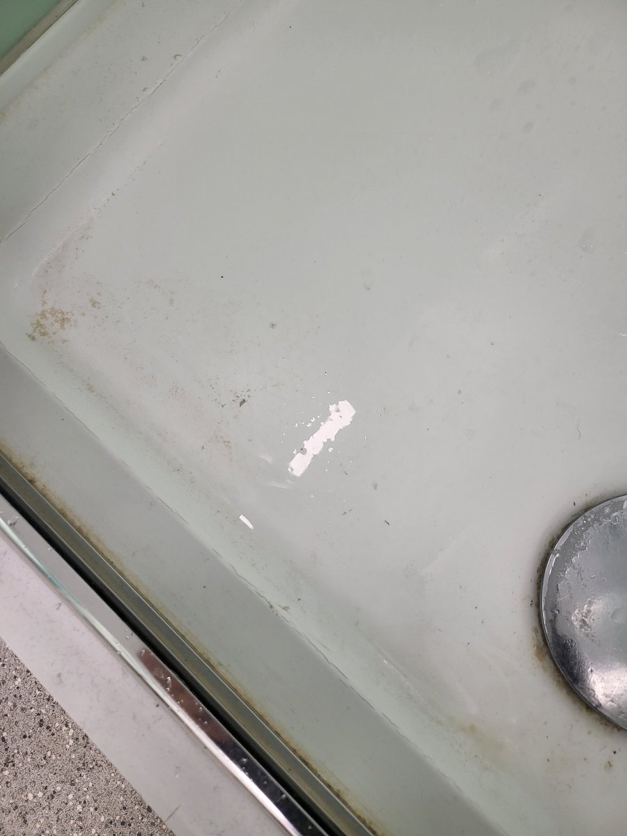 Marion Marsland tweet media