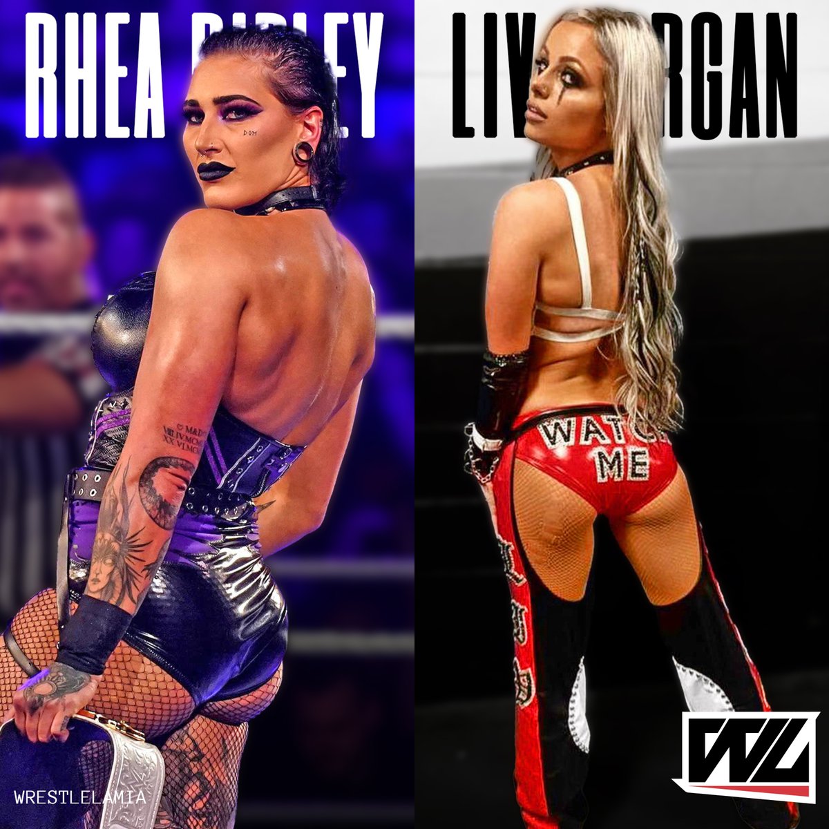 Wrestlelamia.com tweet media