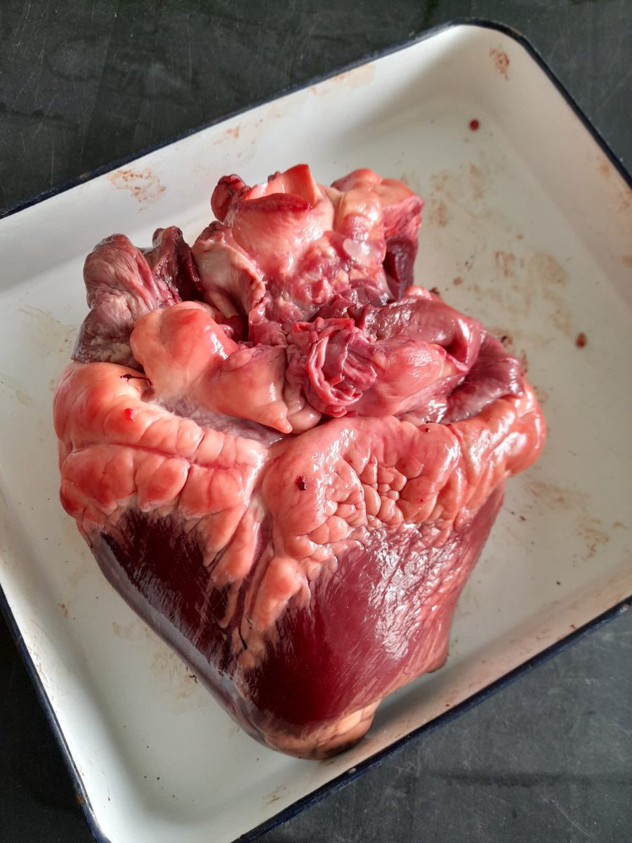 OAFScience tweet media