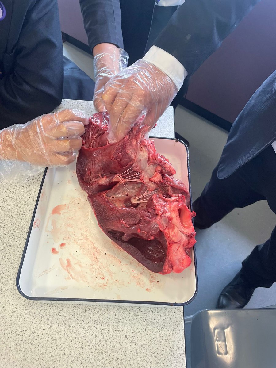 OAFScience tweet media