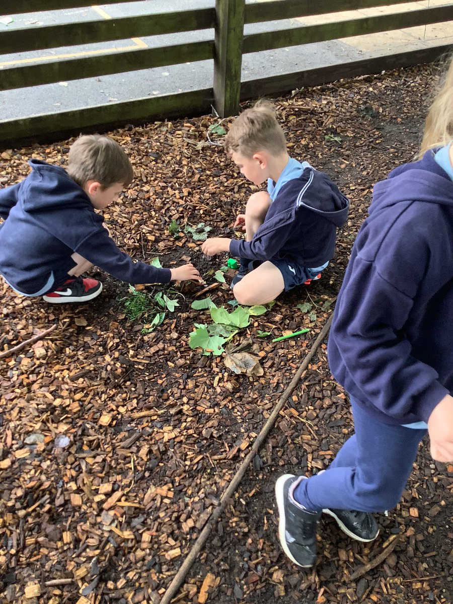 GPSYear1's tweet photo. Today in Science we used natural materials to build a home for an animal. We investigated whether we could make it waterproof or not by the materials we chose for the home. @greenparkschool @kapowprimary #gpsscience https://t.co/tSPw4dEuxH