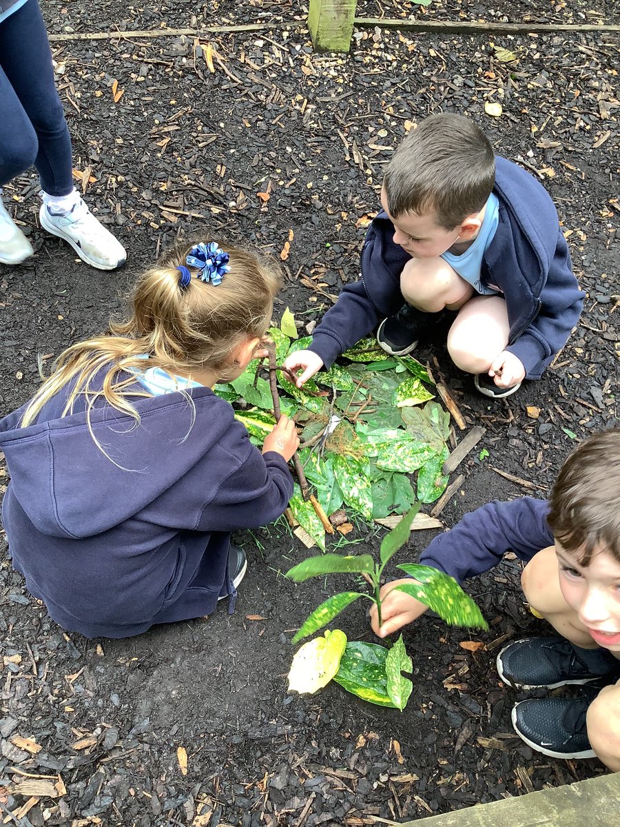 GPSYear1's tweet photo. Today in Science we used natural materials to build a home for an animal. We investigated whether we could make it waterproof or not by the materials we chose for the home. @greenparkschool @kapowprimary #gpsscience https://t.co/tSPw4dEuxH