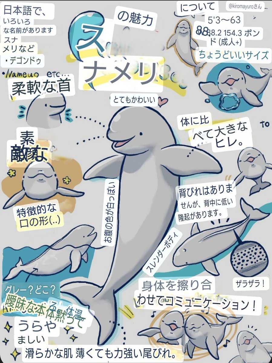 Googleレンズの比較面白い😂
☆Turusube☆
☆Ohada☆
が一番ツボwww 