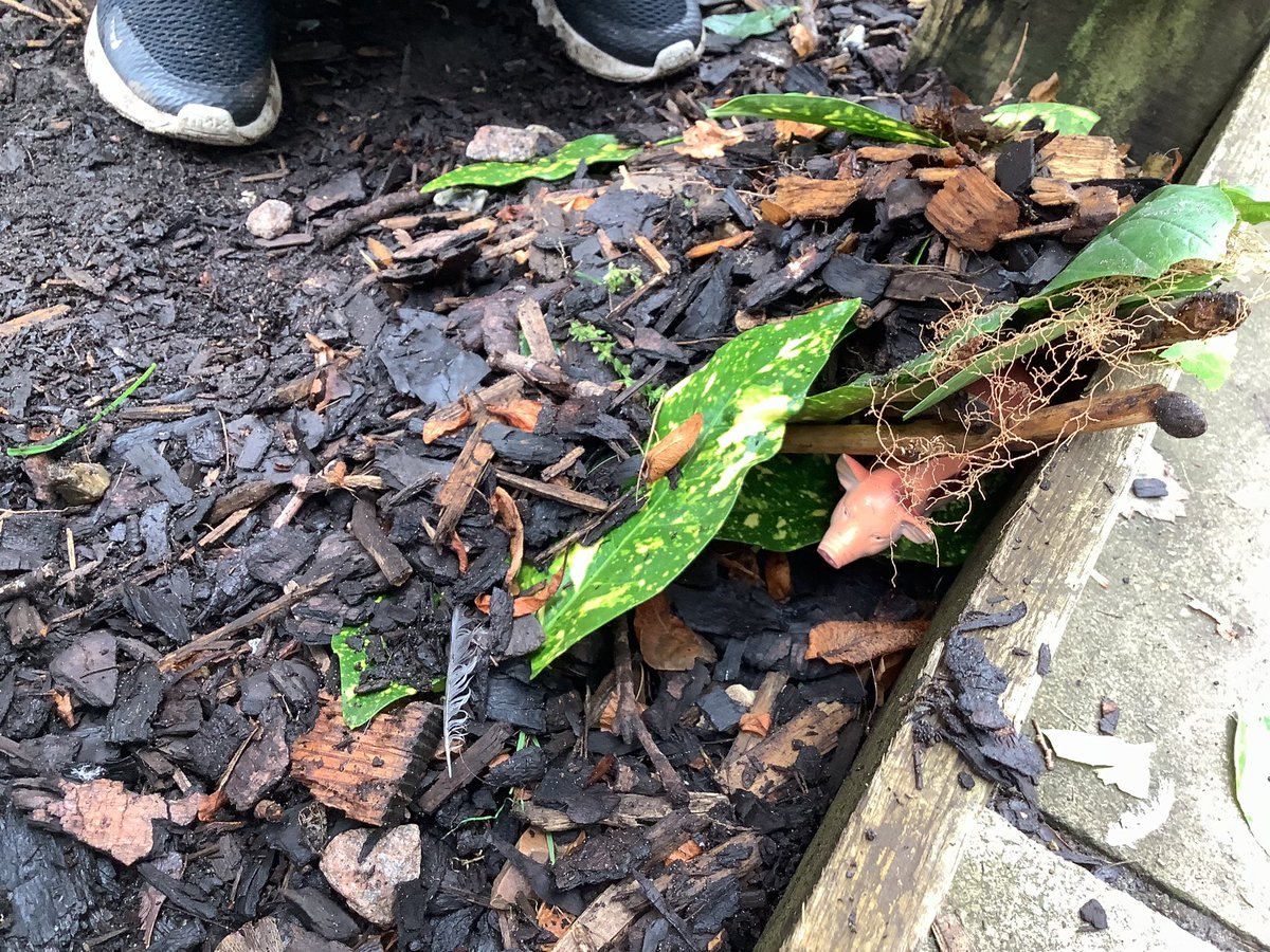 GPSYear1's tweet photo. Testing out whether our animal homes were waterproof! @greenparkschool #gpsscience https://t.co/NGhILrWYFz