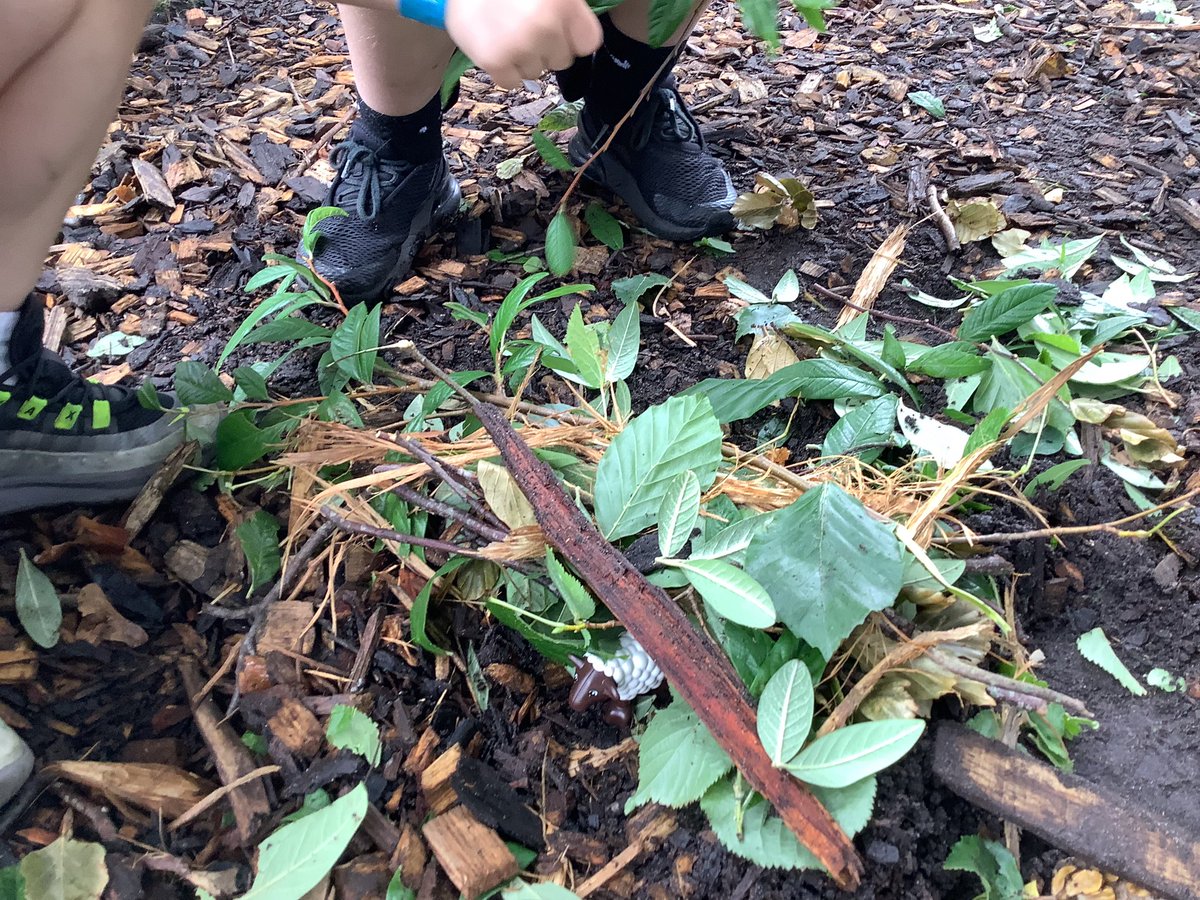 GPSYear1's tweet photo. Testing out whether our animal homes were waterproof! @greenparkschool #gpsscience https://t.co/NGhILrWYFz