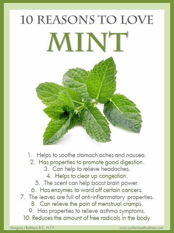 themedplan's tweet photo. Mint is a refreshing addition to my meals! 🌿✨ It's not just for fresh breath—mint aids digestion, eases headaches, and can even boost your mood. Add it to salads, smoothies, or teas for a burst of flavor and health benefits. Stay cool and healthy with a hint of mint! #MintMagic #HealthyEating #HerbalGoodness