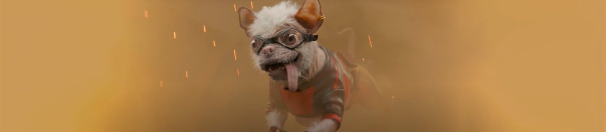 Wil Ojeda tweet media