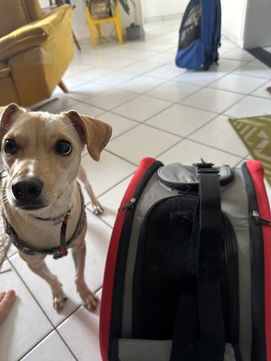 jsscabtsta's tweet photo. dia de vacina #OSusSalva #EuDefendoOSus https://t.co/0ecauHrXQT