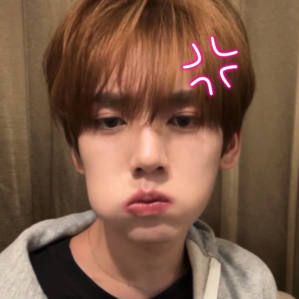 07hanpics's tweet photo. nom nom https://t.co/rKbk7vtzq1