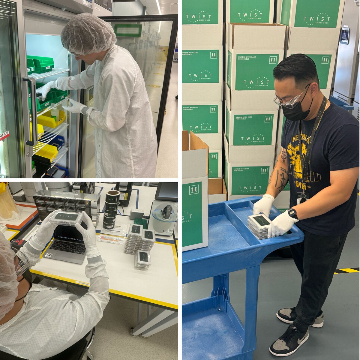 Twist Bioscience (@twistbioscience) on Twitter photo SUCH important work— practicing to prevent the next pandemic! We’re proud to be part of the sprint to determine how fast #hanta defeating antibodies can be discovered.
@VUMC_Vaccines— your DNA is on the way! 🧬—>📦
#VVCHantaSprint <a href="/TwistBioscience/">Twist Bioscience</a> SUCH important work— practicing to prevent the next pandemic! We’re proud to be part of the sprint to determine how fast #hanta defeating antibodies can be discovered.
@VUMC_Vaccines— your DNA is on the way! 🧬—>📦
#VVCHantaSprint <a href="/TwistBioscience/">Twist Bioscience</a>