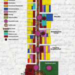 Photo by Journal of Urbanism (@JournalUrbanism)