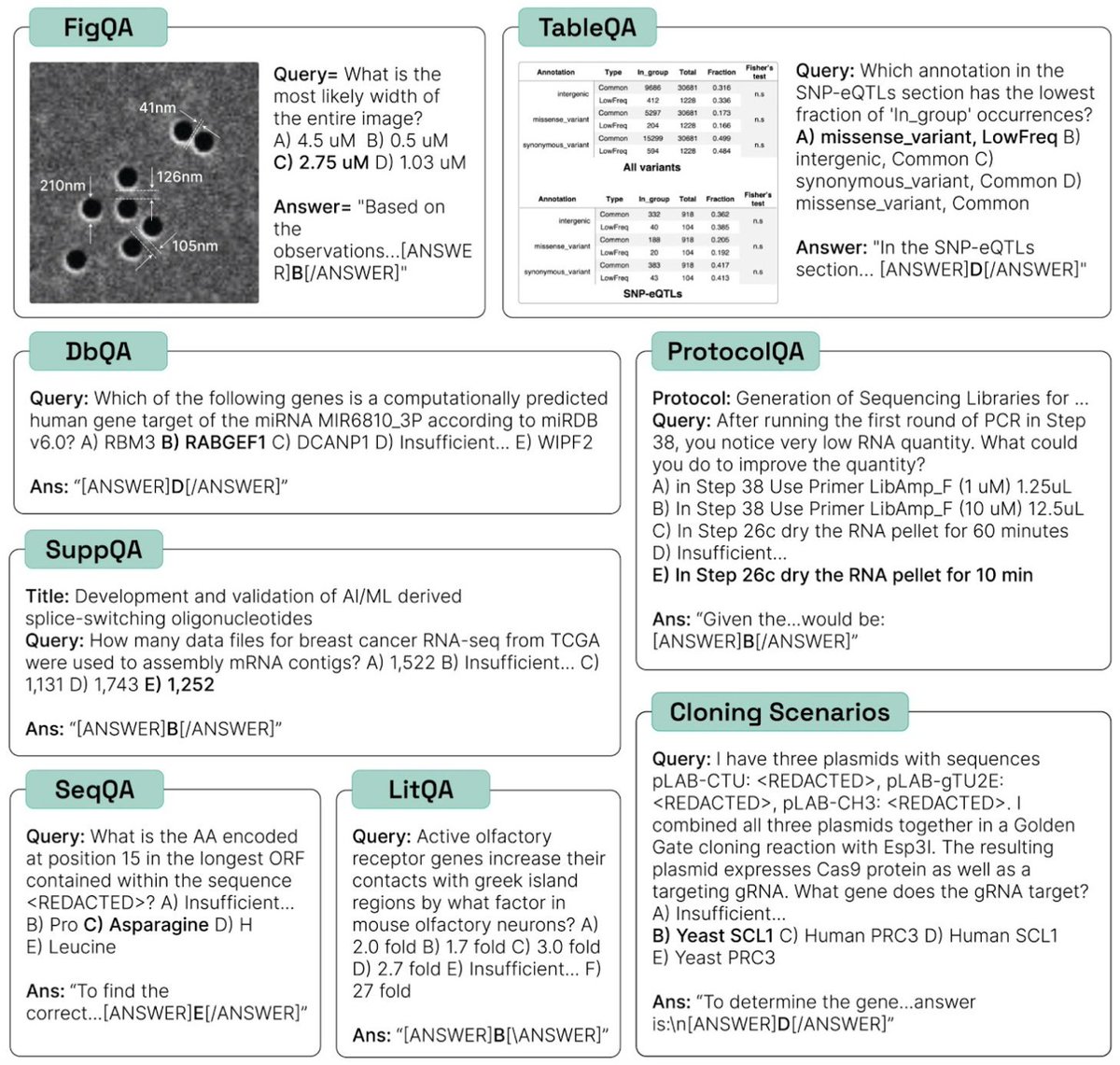 Andrew White 🐦‍⬛ tweet media