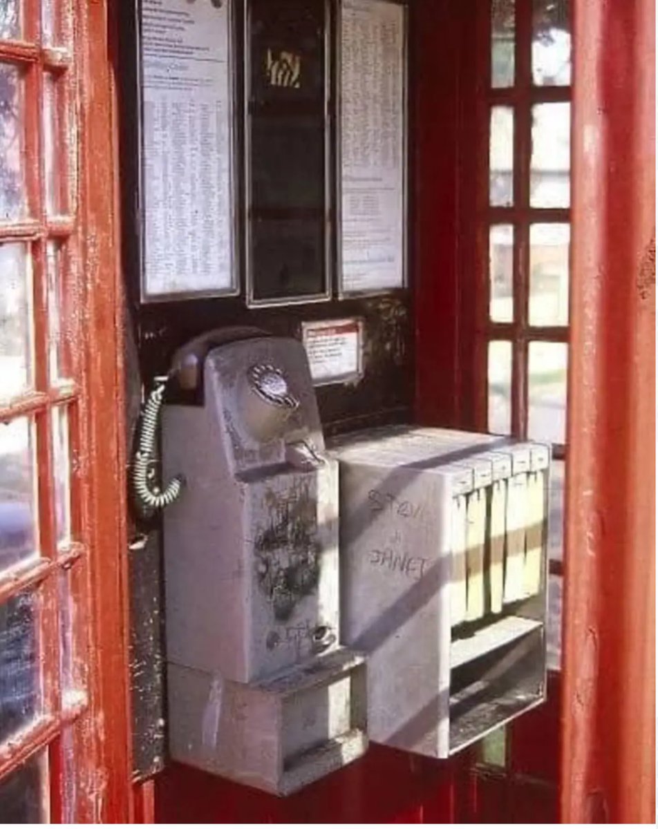 the cabinet of echoes tweet media