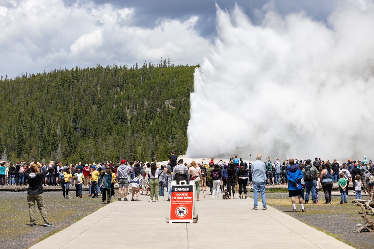 yellowstonehike's tweet photo. Yellowstone visitation statistics for June 2024 https://t.co/zEw9qbGUj5 https://t.co/7Q0dYBtsI9