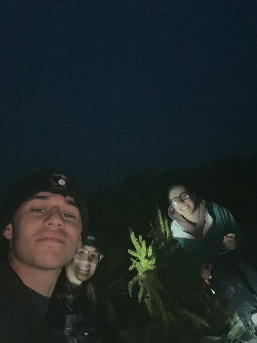 ALAR - Atlantic laboratory for Avian Research tweet media