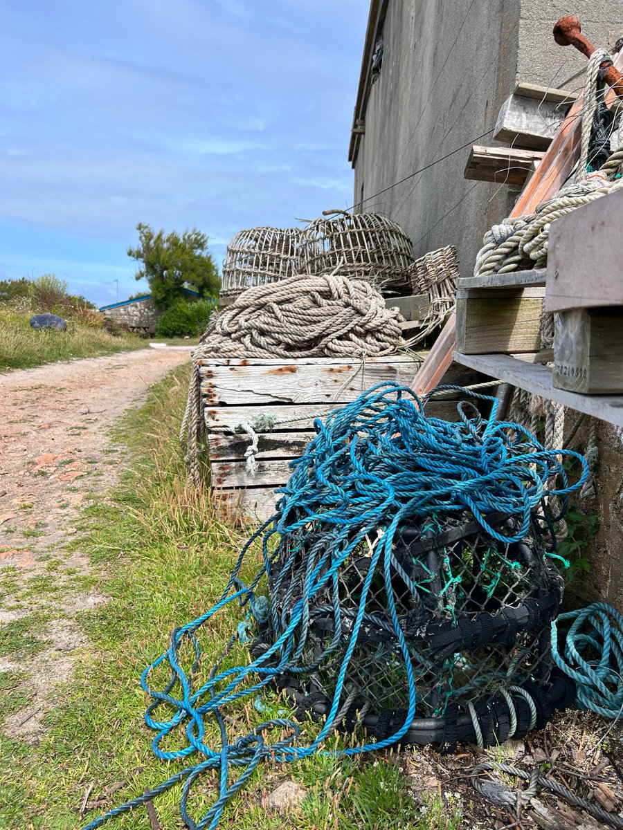 eveasanders's tweet photo. Modern with a glimpse of the old in the background... I know which one I think is prettier... 🦞 
.
.
.
#sustainablefisheries #traditionalfishingmethods https://t.co/CQiFcoffm2