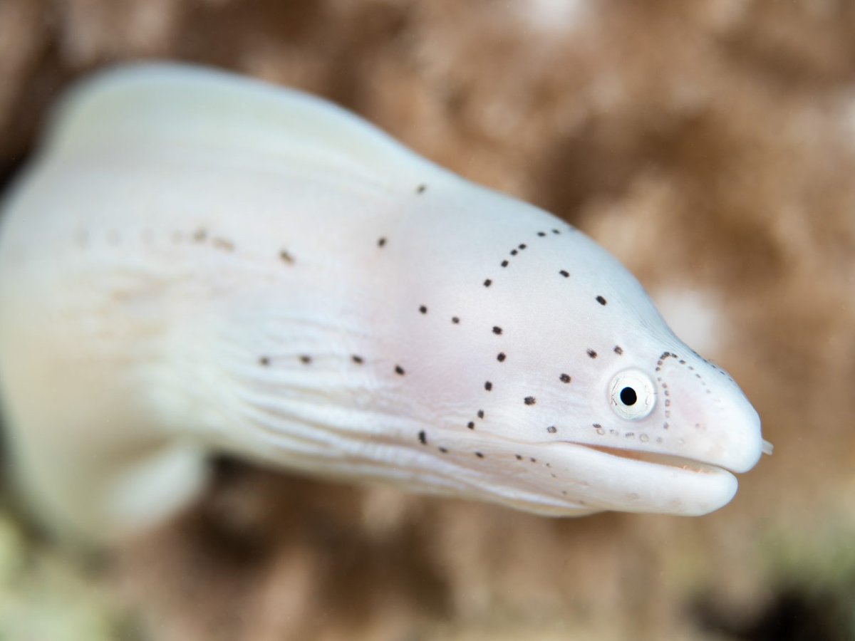 Nature TTL tweet media