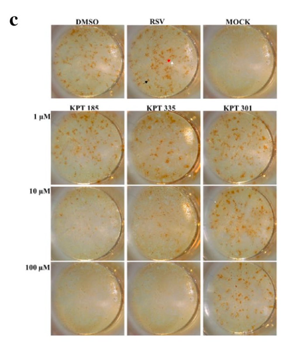 Elisabeth Bik tweet media