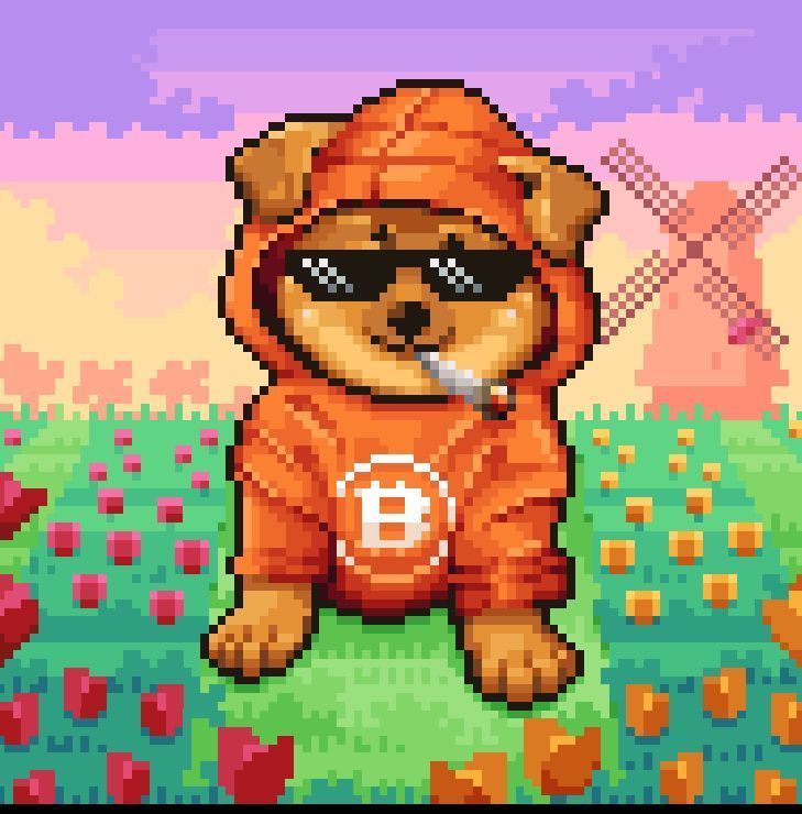 Jack_Finance_EU's tweet photo. Bullish on new ordinals. Chads hold all of them.
#BillyCats
#Dogpfp
#Frucks
#AlienArtifacts
Higher โฌ๏ธ โฌ๏ธ โฌ๏ธ
@thebillycats @billydollarcat @dogofbtc @AlienOrdinals @FrucksBTC https://t.co/xGLXNhZBYG