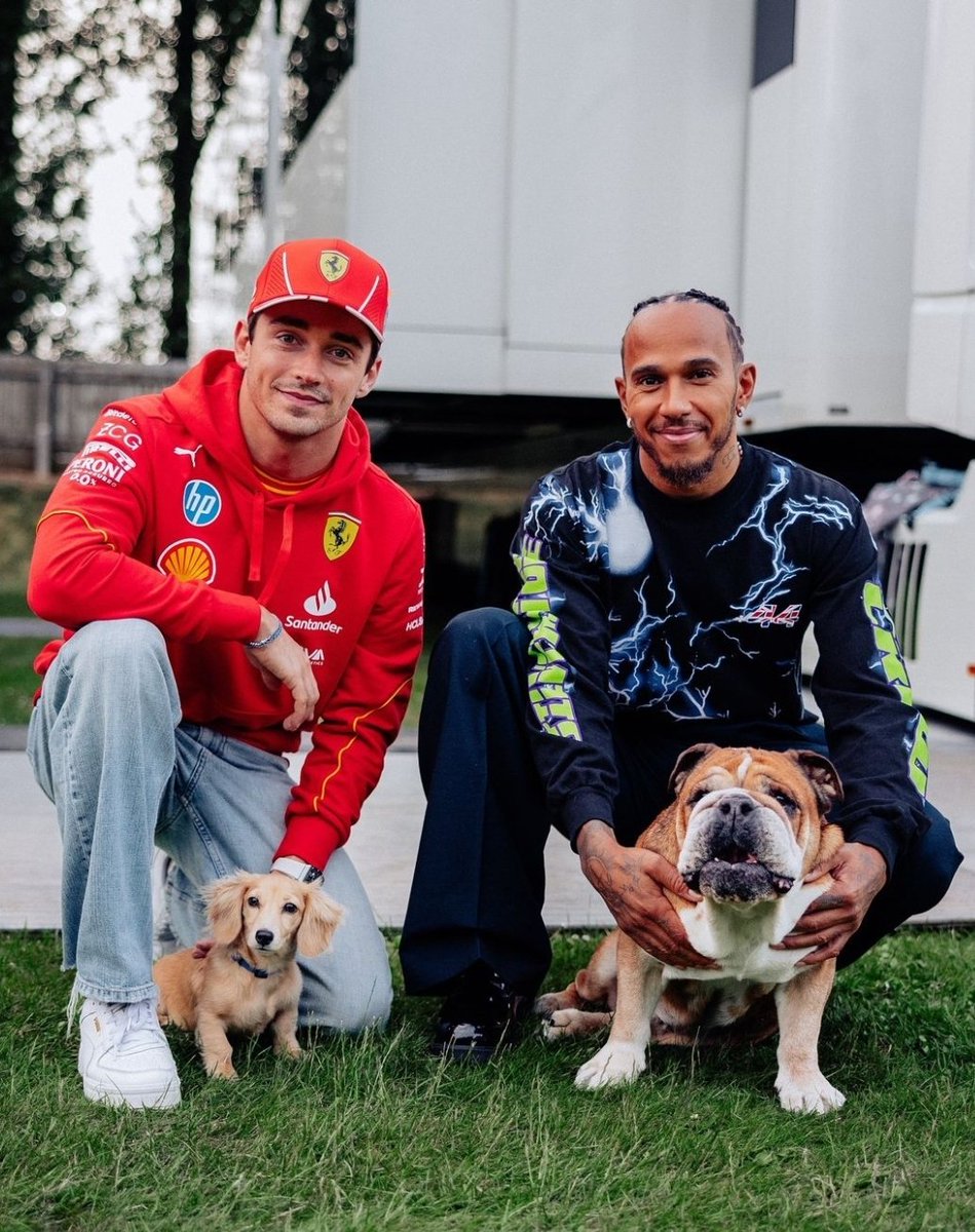 envyleclerc's tweet image. dog dads!!