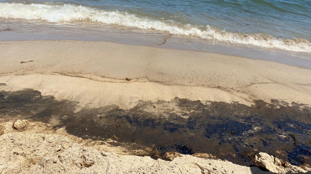3CatInfo's tweet photo. Vessament de fuel al parc natural de l'Albufera, a València https://t.co/zKxMclzSd6 https://t.co/VvoW6SUF4Z