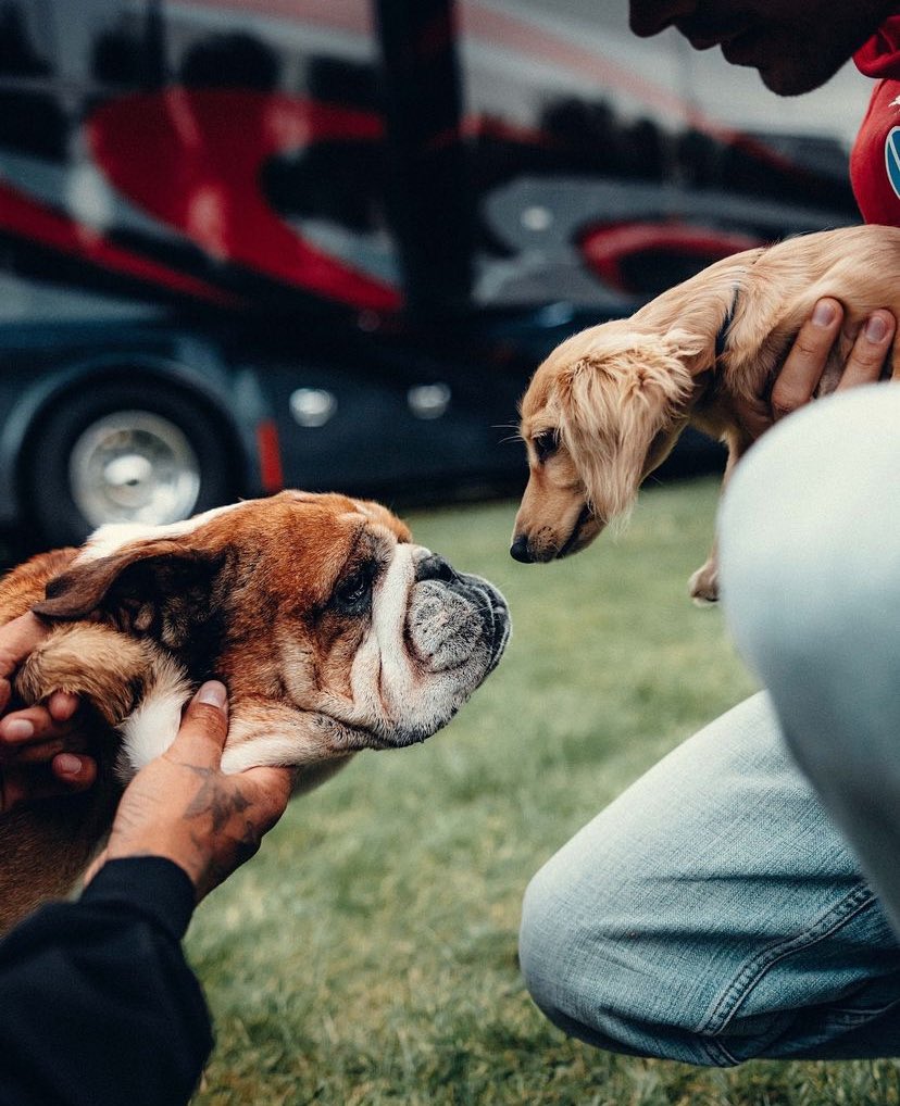 leclercsletters's tweet image. LEO AND ROSCOE MEETING UP OMFGGGGG