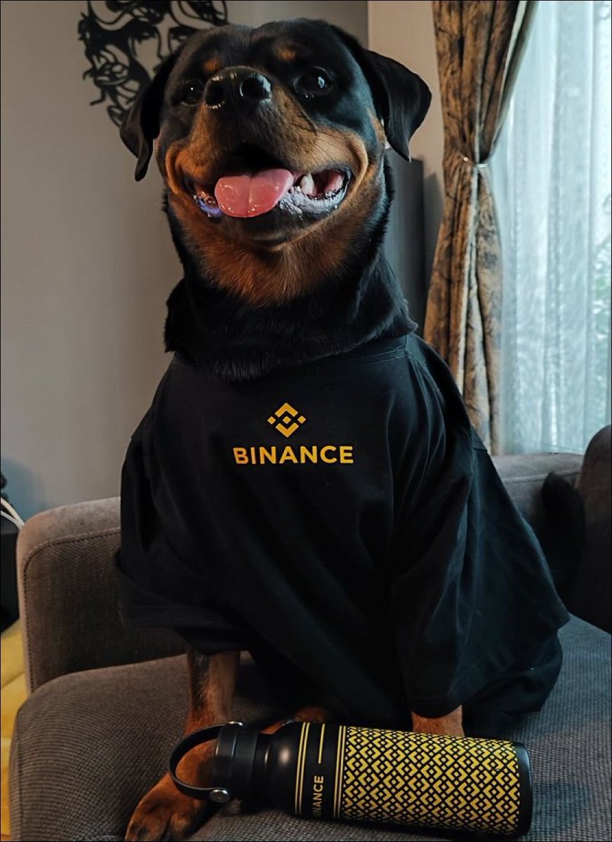 Crypto_Gremlin7's tweet photo. Question? How the fuck are we not supposed to bid the binance Dog? 
Was asleep when this launched but i cant resist to top blast this even at 1 Mill
Binance already shilled it, and you guys send normal looking dogs to 3-5 mill you dont think goes higher?
$CHO
CA:B7fSNEaHpnDsRoe3LUjwgLvejbZogq1f6puM4XKPpump