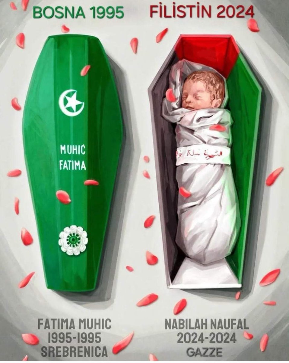 fatmedkksal's tweet photo. Ahh Gazze'm...
Bosna'yı da unutturdun bize 😔
#GazzedeKatliamVar
#GazzedeÇocuklarÖlüyor
#GazaHolocaust
#BabyKillerİsrael
#KİLLERUN
#KİLLERNETENYAHU https://t.co/1h0c46FYjM