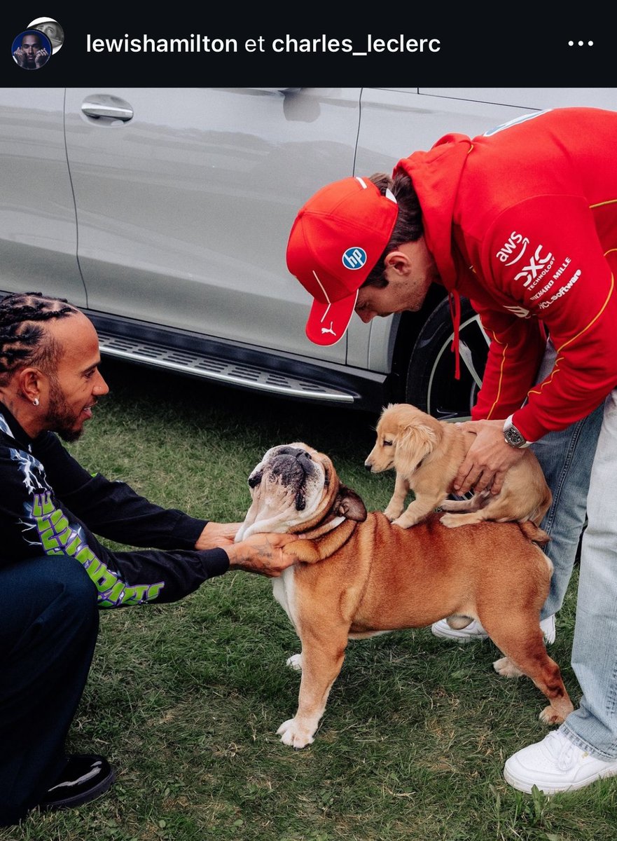 La rencontre la plus attendue de l'année dans le paddock entre Léo et Roscoe a enfin eu lieu 😭🐶

#F1