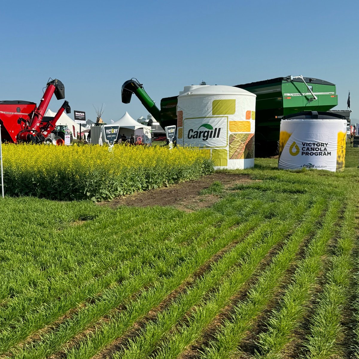 CargillAgCanada's tweet photo. Today is the first day of #AIM2024 and our team is ready for you at booth 642! Stop in and tour our @VICTORYcanola plots, chat with the team, and test your knowledge with our trivia game for your chance to win great prizes. https://t.co/KtizQ8Ag1h