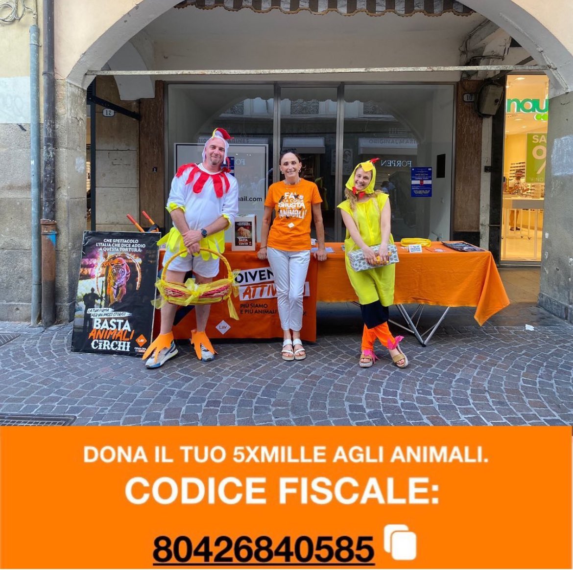 🧡Dona il tuo 5X1000 alla LAV
È un modo per sostenere le nostre azioni verso gli animali senza spendere nulla.

CODICE FISCALE: 80426840585

Ti ricordiamo che hai tempo fino al 30
SETTEMBRE per decidere a chi destinare il tuo
5x1000!🧡

#Lav #lavpadova #5X1000