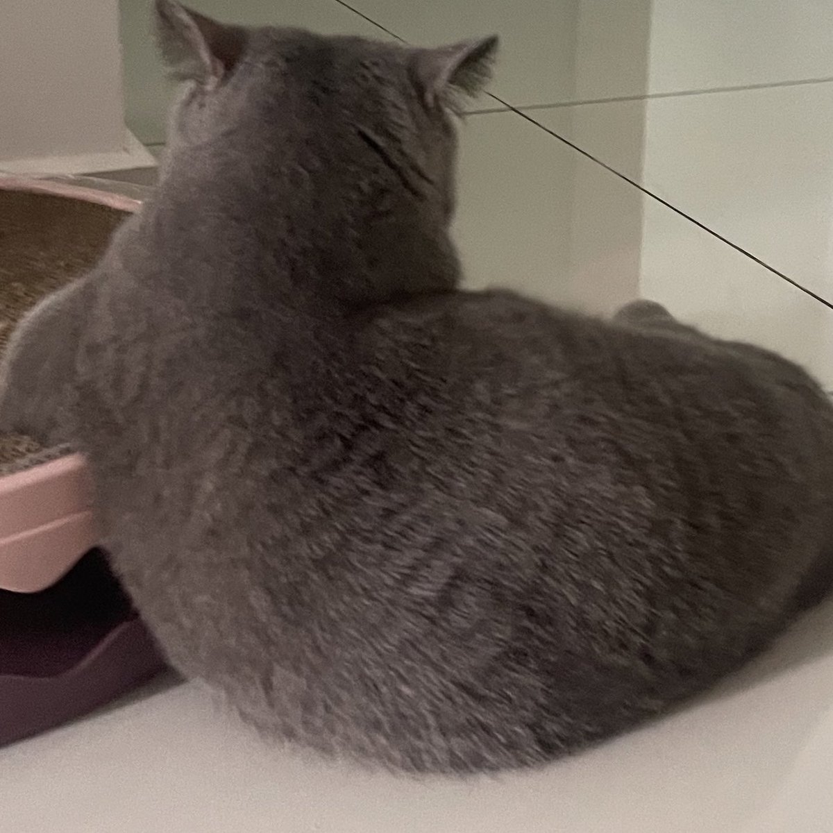 Ini i pun ada kat rumah