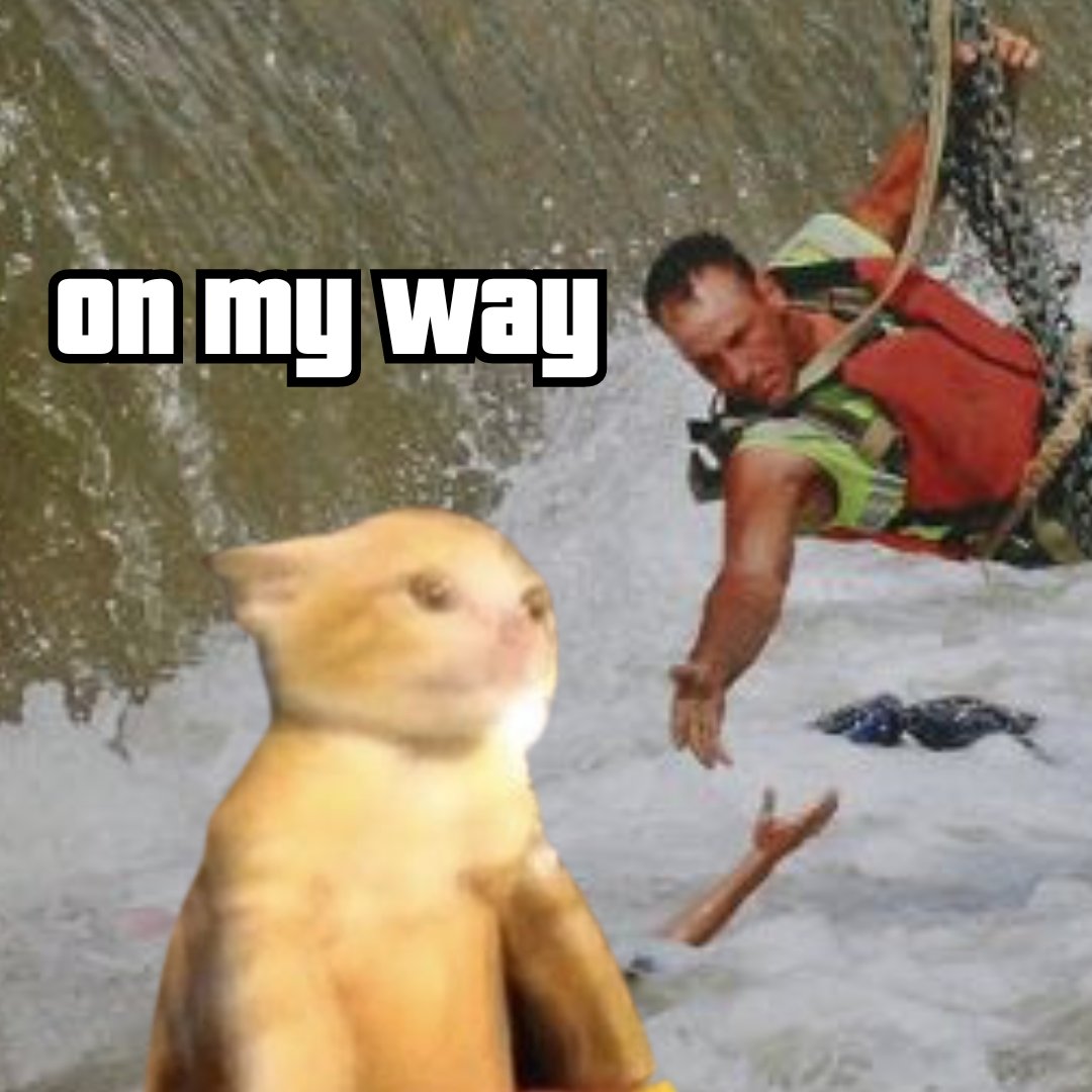 onmywaysol's tweet photo. on my way $omw https://t.co/9QHvReSarW