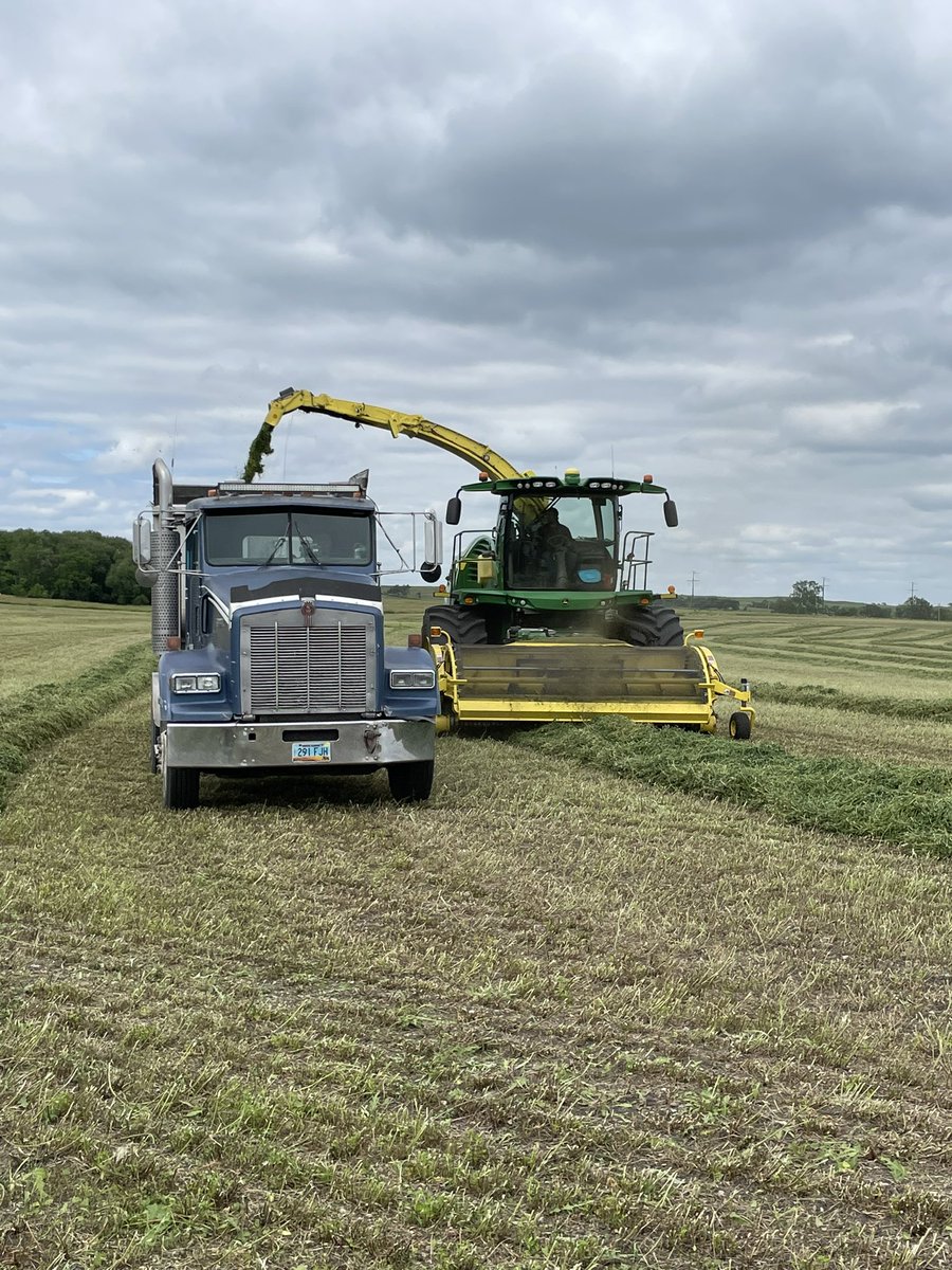 Money!!  Looking for last min trucking help for next two days 7/15-16 we will be chopping near McHenry ND. 701-893-6919