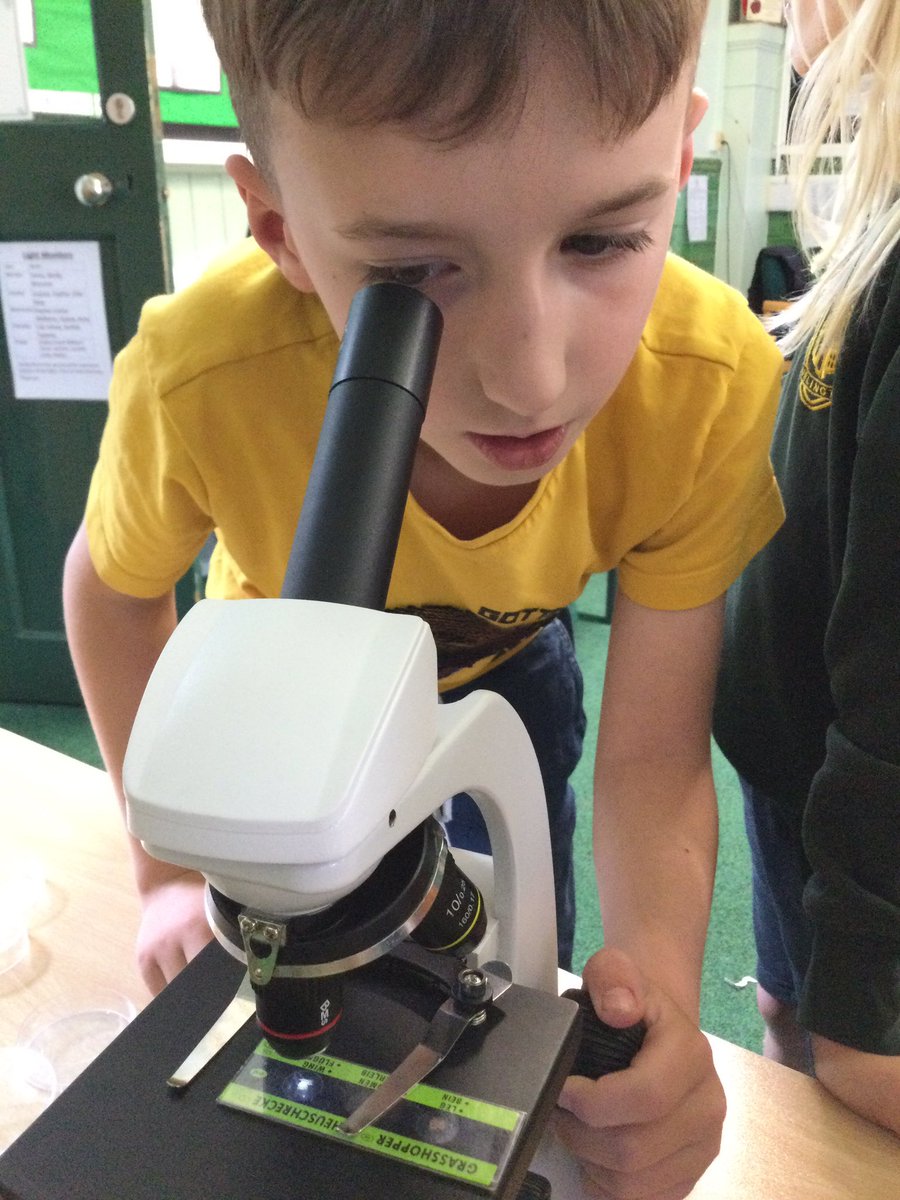 burlingtonjnr's tweet image. Science Club were fascinated by the microscopes and loved looking at various items through the lenses #curiosity
