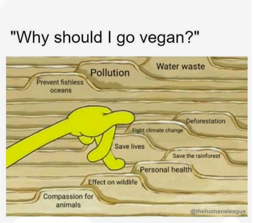 Wondering 'why go vegan'? Here's the answer. 
Meme credit: The Humane League