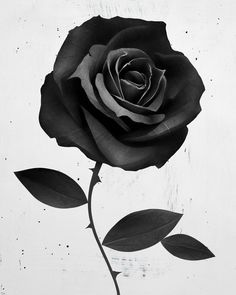 Abesita1's tweet photo. @_ElObservador_ No lo conocía personalmente,pero si parte d su trayectoria,en #Ronda era muy conocido,querido y admirado por la gran labor q hacía.Un referente en la lucha y dicen q muy buena persona. D.E.P. 🌹Buen artículo. https://t.co/ymx5jKt2JE